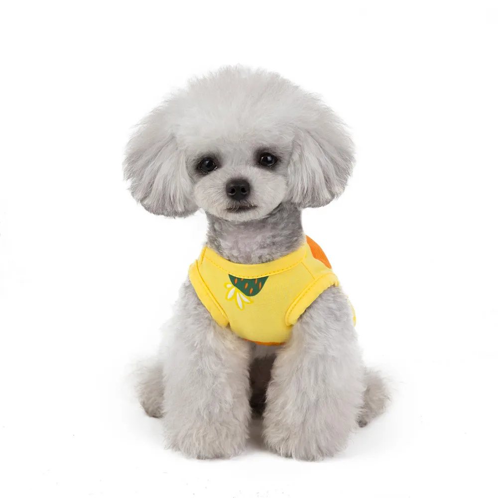 Fruit Design Summer Dress For Dog Pet Clothes Wedding Dress Skirt Puppy Small Dog Clothing Spring Fashion Jean Pet Clothes XS-XL (11)