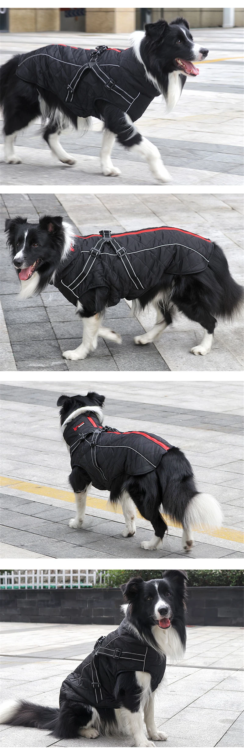 winter dog clothes (8)