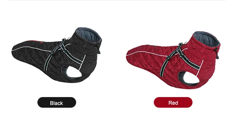 winter dog clothes (6)