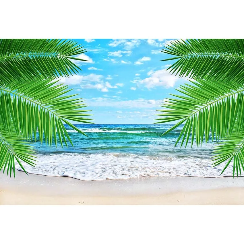 Tropical Beach and Sky Photography Backdrop