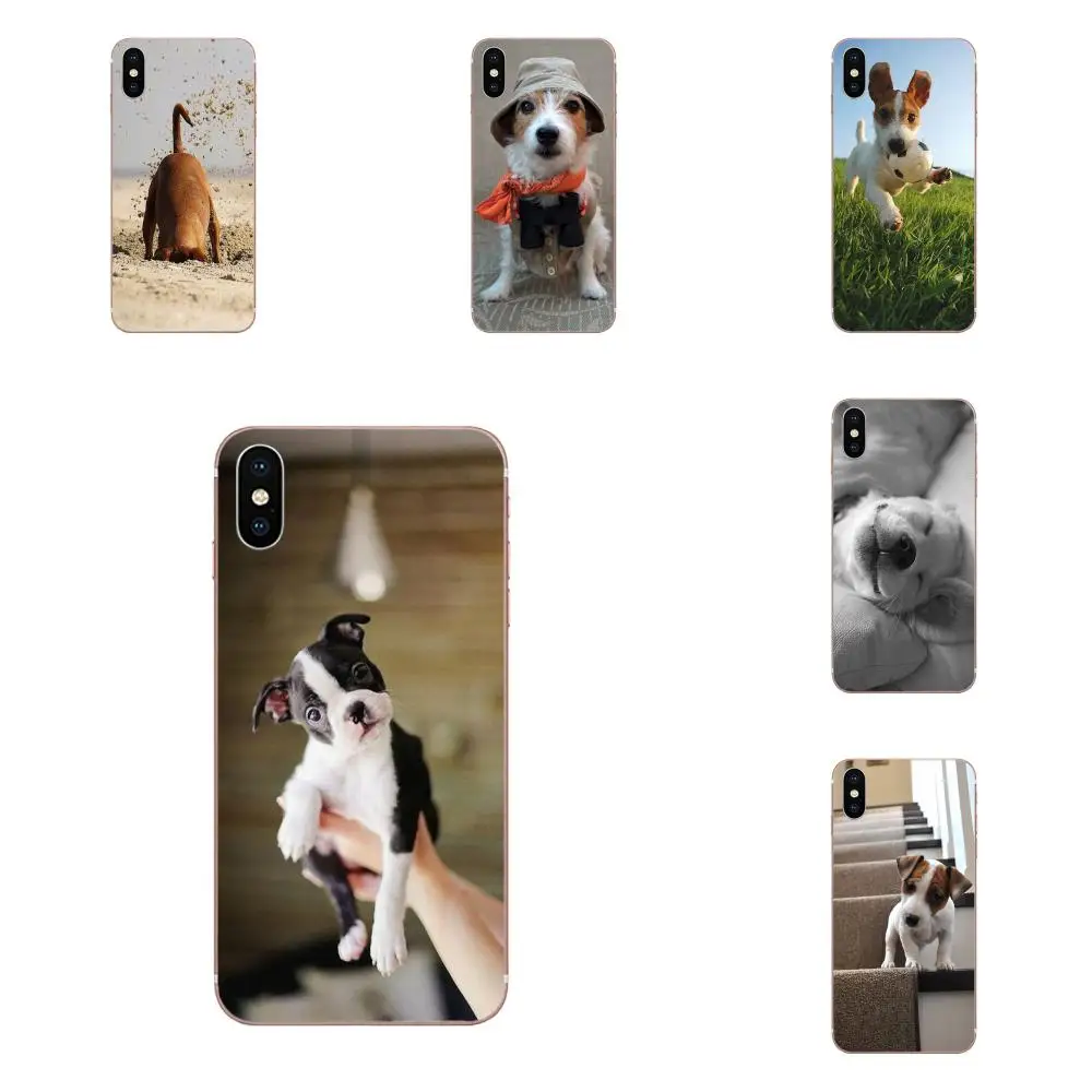 For Galaxy J1 J2 J3 J330 J4 J5 J6 J7 J730 J8 2015 2016 2017 2018 mini Pro Soft Print Phone Jack Russell Terrier Pop Dog | Мобильные
