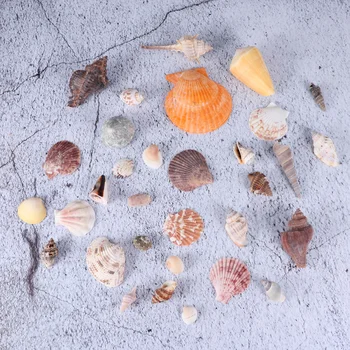 

Fish Tank Landscaping Ornaments Mixed Aquarium Conch Shells Ornaments Photography Props Home Decorative Ornaments (0.5kg, 2-8cm)