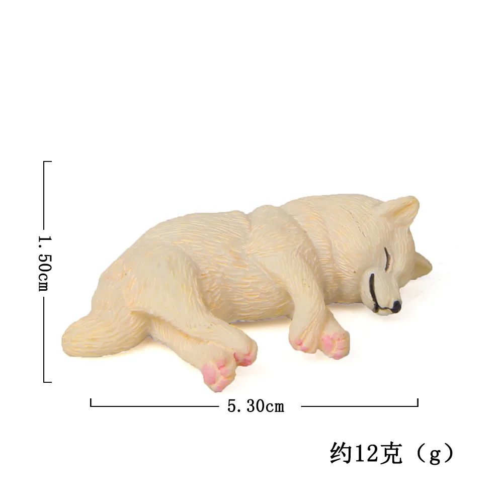 20190605_223816_114