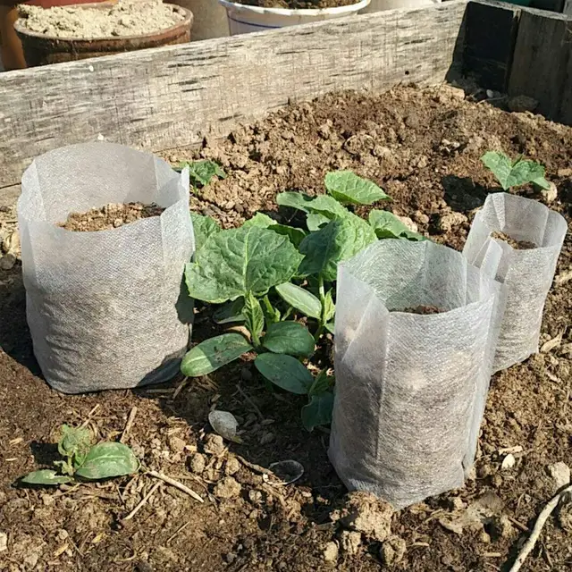 100Db Biológiailag Lebontható Nem Szőtt Óvodai Táskák Növény Szövet Palánták Edények Tasak Otthoni Kerti Ellátás 5 Méret - Image 4