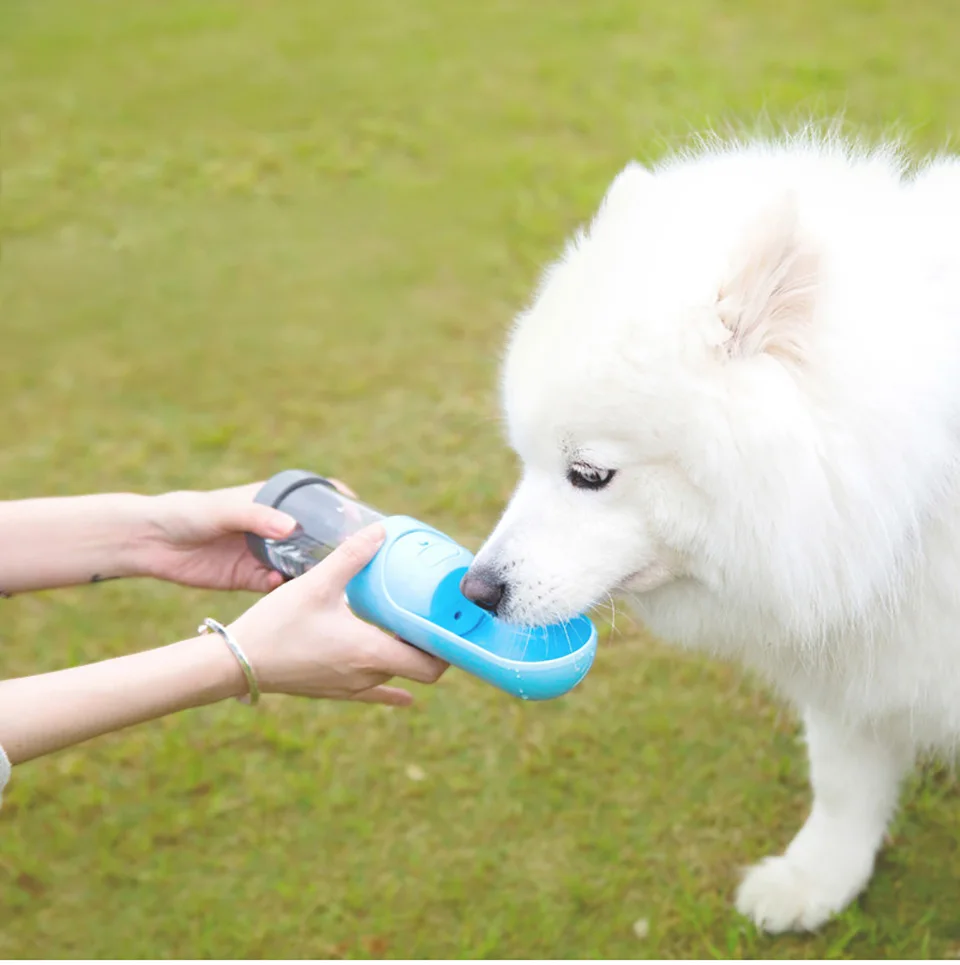 Pet открытый прозрачный портативный сопутствующий Кубок собака выход чайник поилка собака водная напольная чашка поилка