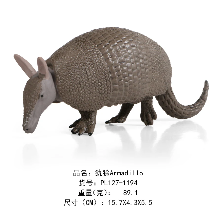 犰狳Armadillo-1194