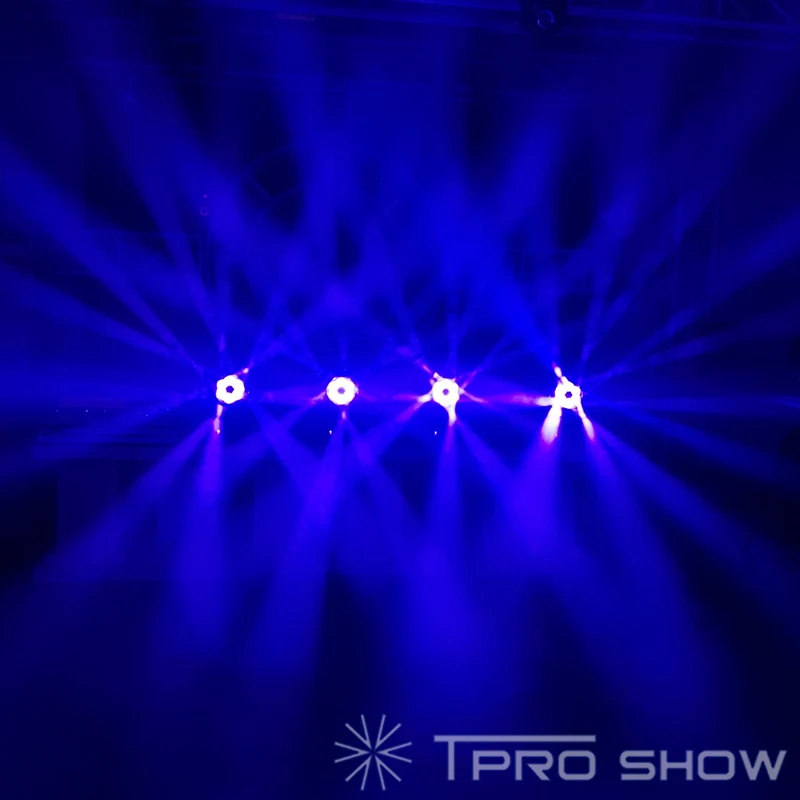 Bee-eyes-moving-head-feature-4