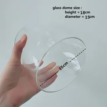 

15*18cm Middle Size Glass Dome Home Decoration Diameter=15cm Height=18cm Creative Glass Cover Friend Gift Wedding Decoration