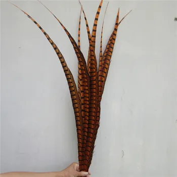 

Hot Welcome 10pcs Orange 60-70cm/24-28inches Lady Amherst Pheasant Tail Feathers Plume Jewelry Christmas Holiday Decoration