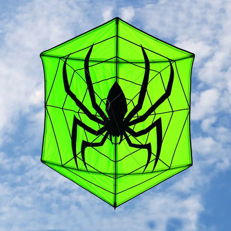 High quality large Hexagonal spider kite for audlts single line outdoor