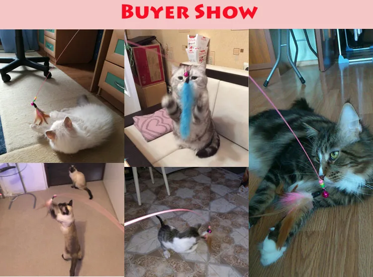 buyer shows