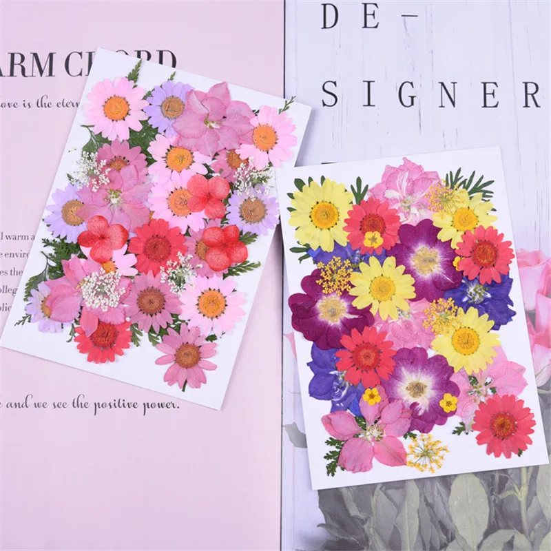 Натуральные сушеные цветы прессованный гербарий цветок декоративные поделки