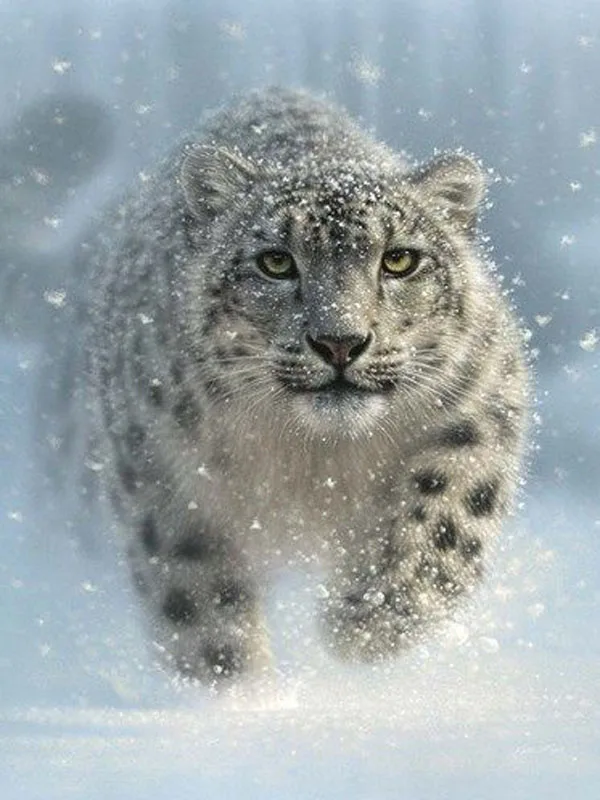 939a30c911903bdedc7ad0c716f997d9