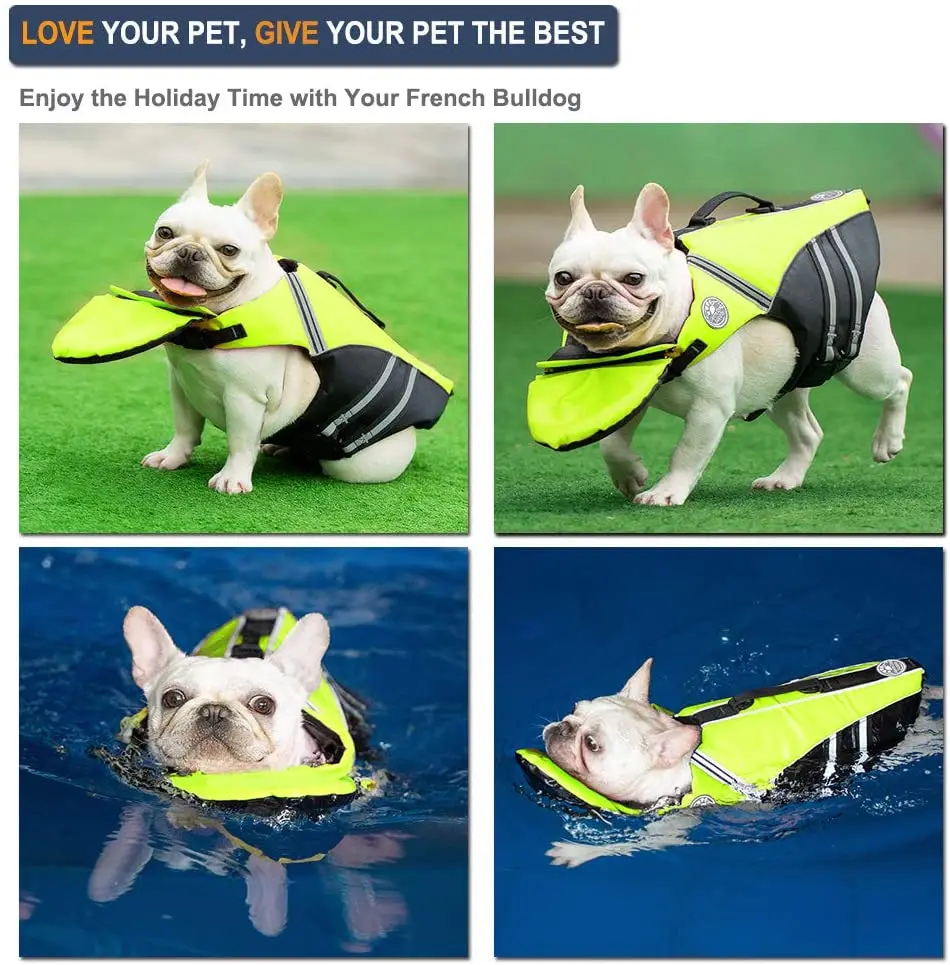 best life jacket for french bulldog