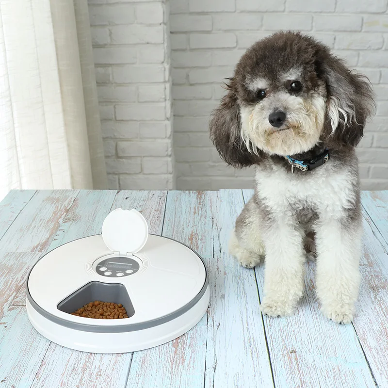 Automatic 24h Timer Pet Feeder Dog Cat 6 Grids Food Dispenser
