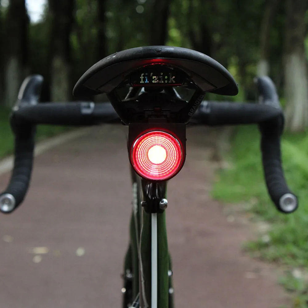 Bicycle Smart Taillight Burglar-alarm Light Anti-theft Rear Light Brake Sensing Cycling Taillight Flashlight With Remote Control