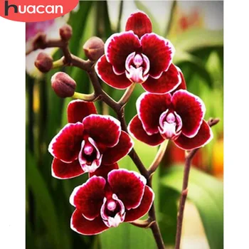 

HUACAN Painting By Numbers Flower Hand Painted Art Dawing On Canvas Picture Set DIY Home Decoration Gift
