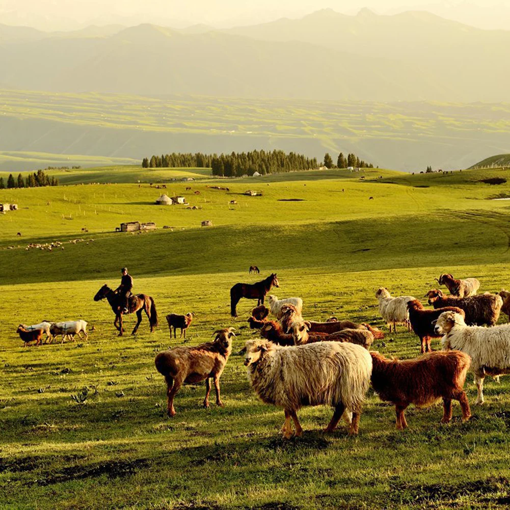 Электрическое портативное ограждение полипроволочный трос для фермы сада