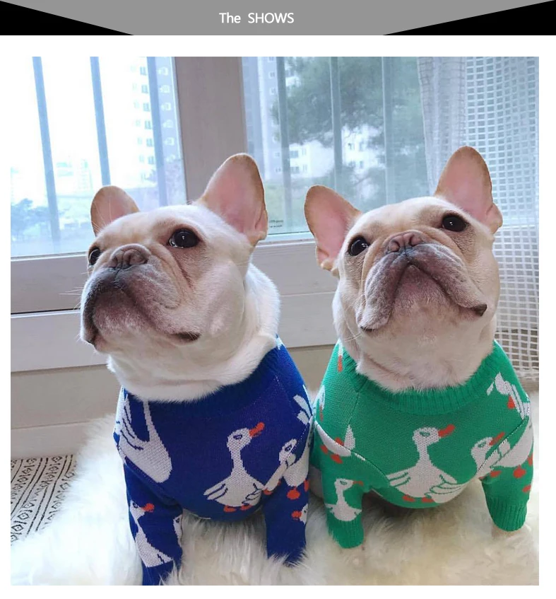 SUPREPET свитер для собаки для французского бульдога корейский стиль утка узор свитера для домашних собак для собак зимняя одежда для собак для чихуахуа