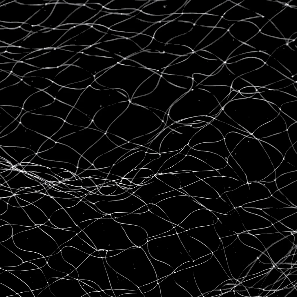 8M x 0.8M Gill Fishing Net 3 Layers Fish Mesh Trap Nylon Monofilament Fishing Gill Net with Float 8m Fishing Accessories Tackles