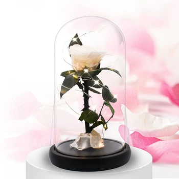 

Eternal Preserved Fresh Rose In A Flask Immortal Rose Valentine's Mother's Day Gifts Beauty and The Beast Real Rose Dropshipping