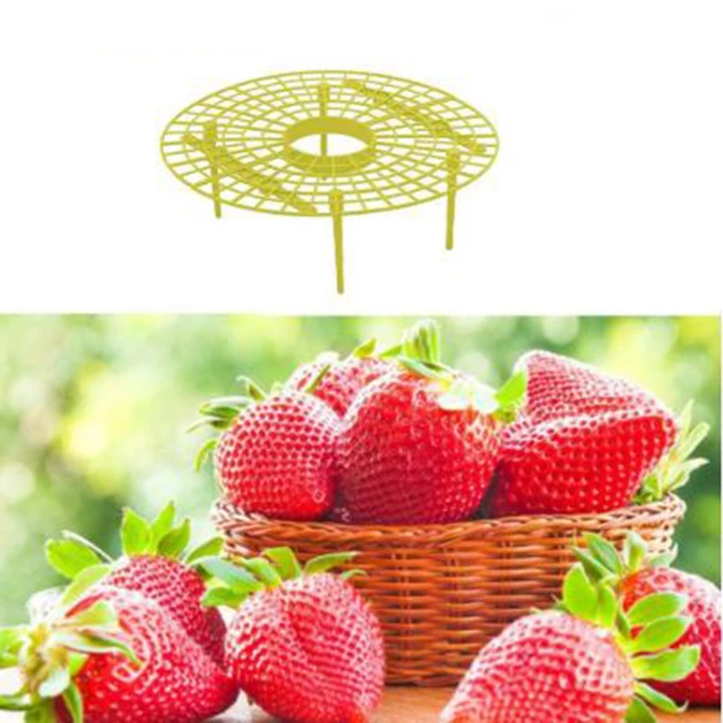 

10Pcs/Set Plant Plastic Tool Strawberry Growing Circle Support Rack Farming Frame Gardening Vine