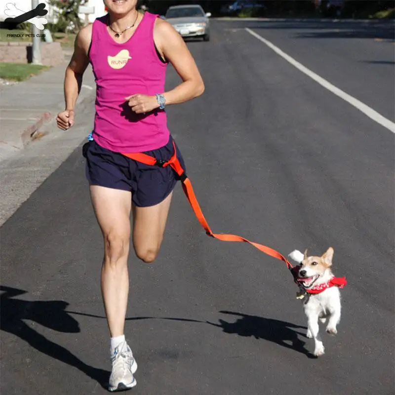 

Attractive Traction Pulling Leash Pet Dog Running Jogging Convenient Safe Fashional Goods for pets