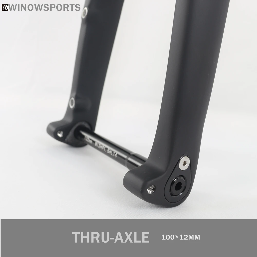 Winowsports 100*12mm hidden external cable carbon gravel bike fork Rake 50mm offset max tire 700*45C disc brake gravel fork