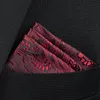 New Pocket Square Handkerchief Accessories Paisley Solid Colors Vintage Business Suit Handkerchief Breast Scarf 25*25cm ► Photo 2/5