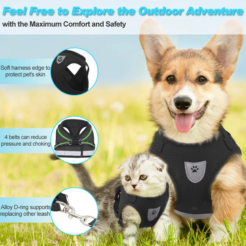 Breathable Cat Harness-Reflective Leash