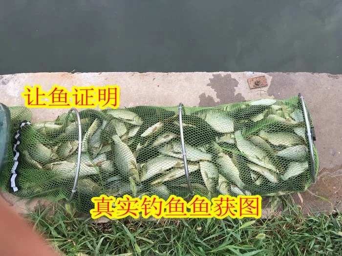 Приманка Черная яма капсулы Fishy гранулы статус добавка Весна Зима рыбалка большой Карп формула приманка комбо