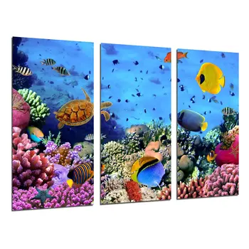 

Landscape Under the Sea Aquarium Fish, photo print on wood, modern picture decorative 26418