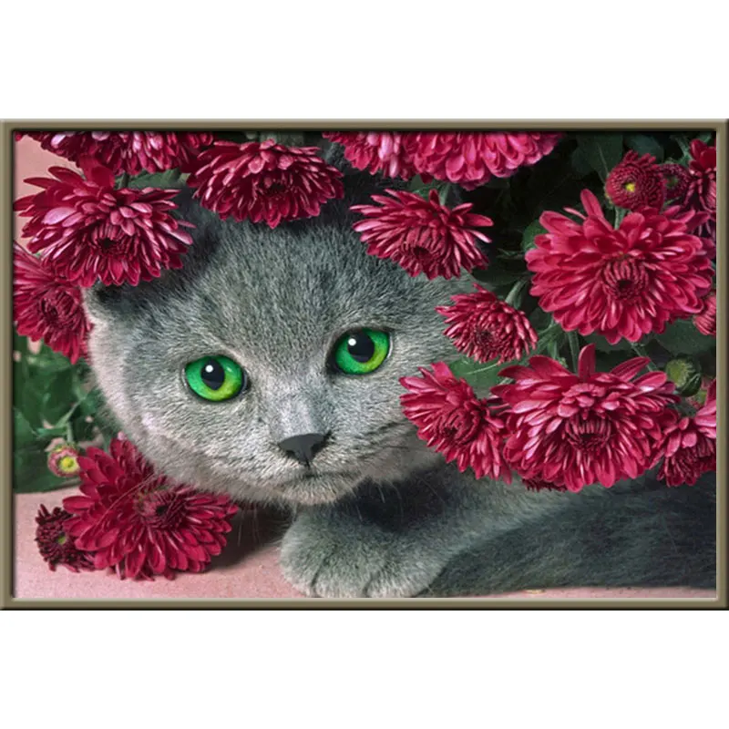 Алмазная мозаика кот, цветы 5D Diy алмазная живопись полная дрель круглая Алмазная вышивка цветные цветы вышивка крестиком домашний декор искусство Алмазная вышивка, алмазная мозаика, картины из страз