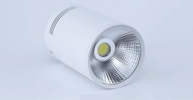 Super Bright Dimmable LED COB Ceiling Spot Lamp 5W 7W 9W 12W 15W 18W Surface Mount Downlight for Indoor Lighting Kitchen Bedroom