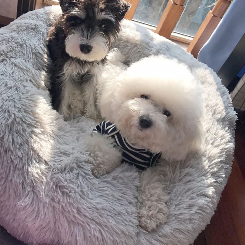 Washable Kennel Pet Dog Bed House Comfortable Soft Round Dog Bed Mat Warm Nest Easy To Clean Pet Dog Cat Supplies Washable Kennel Pet Dog Bed House Comfortable Soft Round Dog Bed Mat Warm Nest Easy To Clean Pet Dog Cat Supplies