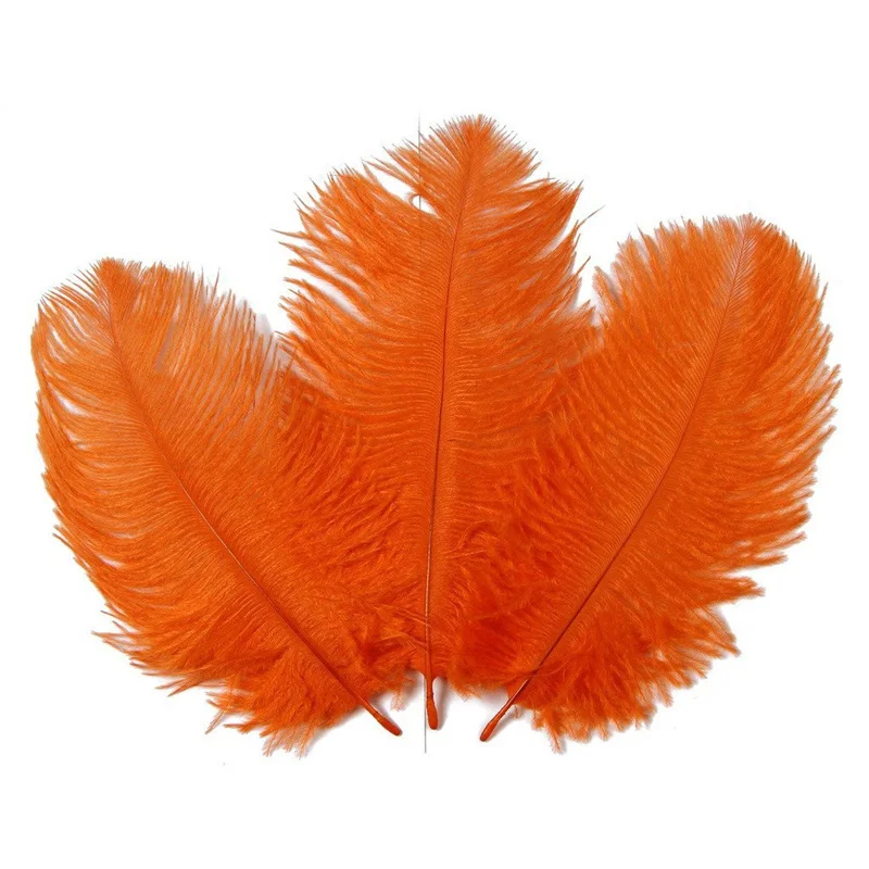 Colored Ostrich Feathers Ostrich Feathers Craft Feathers Natural Feathers for Decoration DIY Jewelry Crafts 10 Pcs 15-20CM