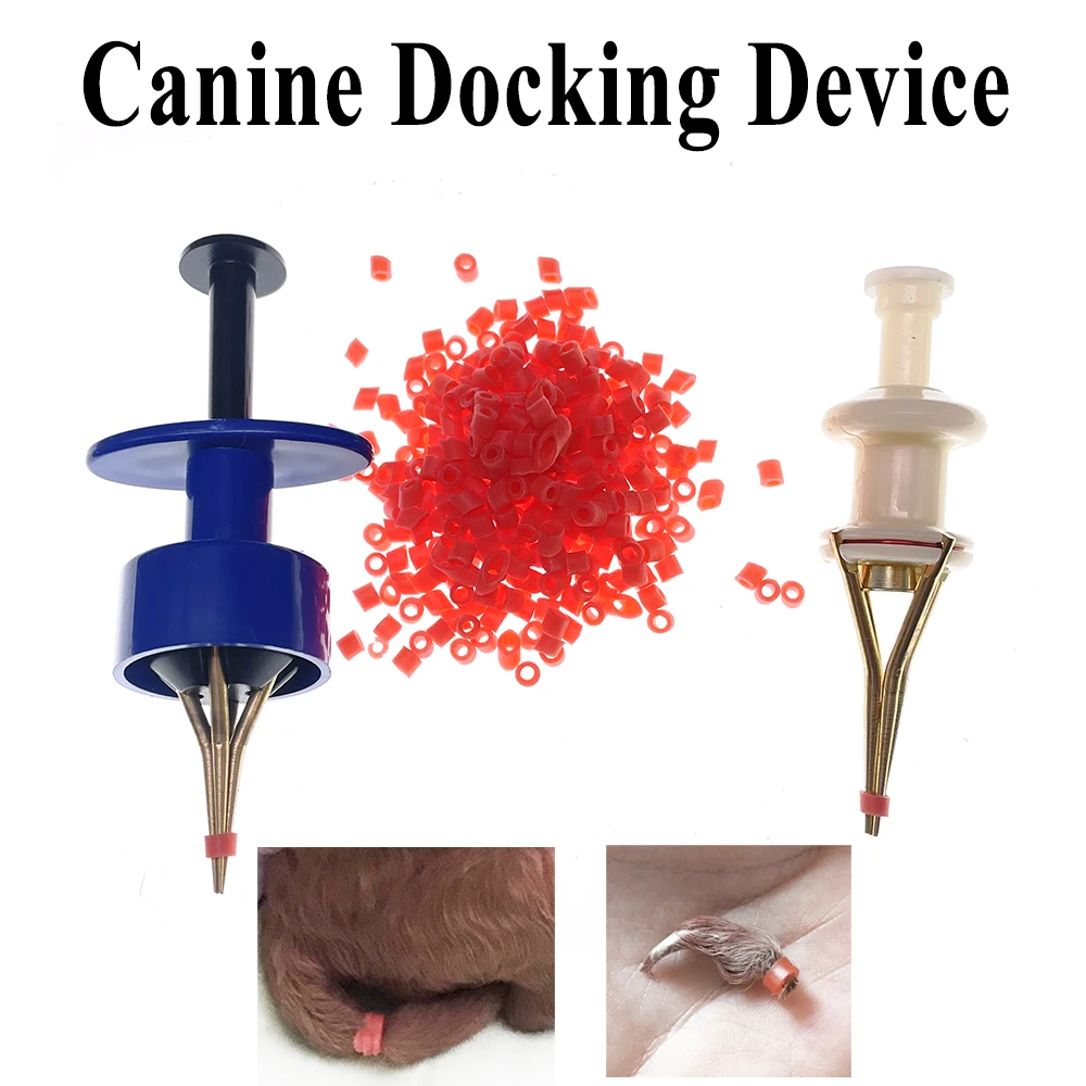 How To Dock Schnauzer Puppy Tails