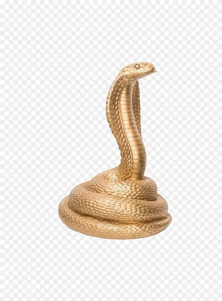 蛇png图片王眼镜王蛇眼镜蛇png图片素材免费下载_图片编号6713541-png