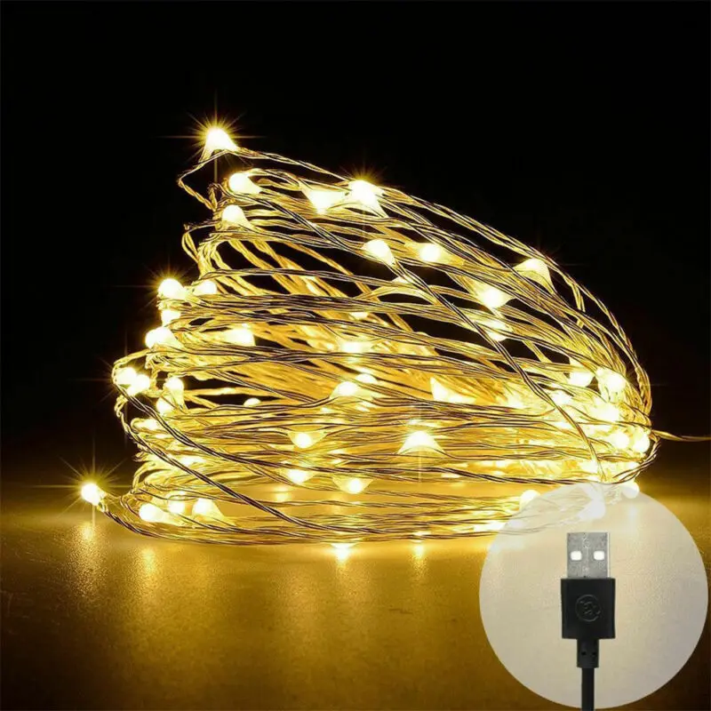 USB Plug In 100 LED DIY Micro Copper Wire String Lights Party Static Fairy Light Home Decoration