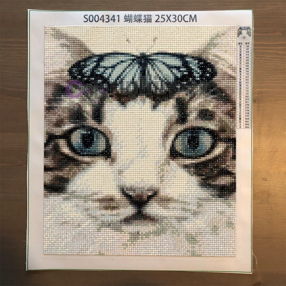Алмазная живопись 5D полная квадратная/круглая кошка Kitty Aniaml Стразы Daimond картина вышивка мозаика вышивка крестиком Кристалл D210