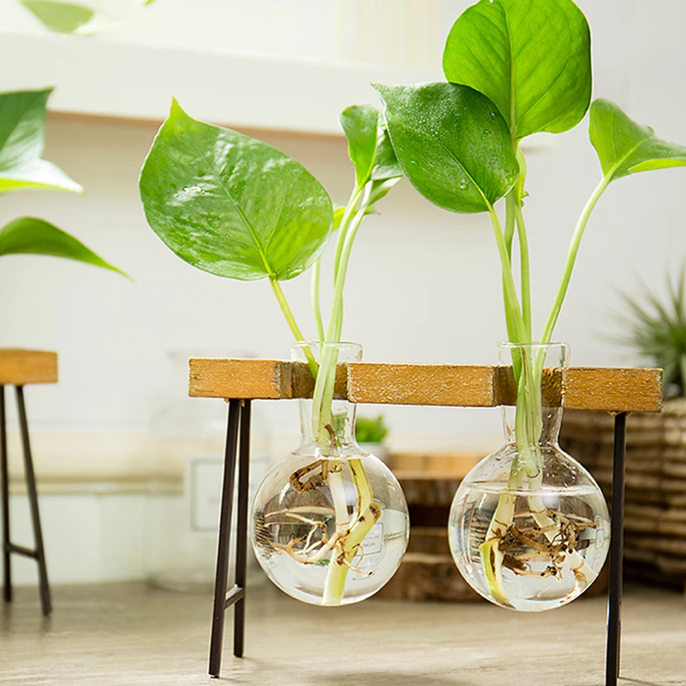 Terrarium Hydroponic Plant Vases Glass Vase Planter Vintage Flower Pot Tabletop Decoration Vase with Wooden Tray Home Decor 1