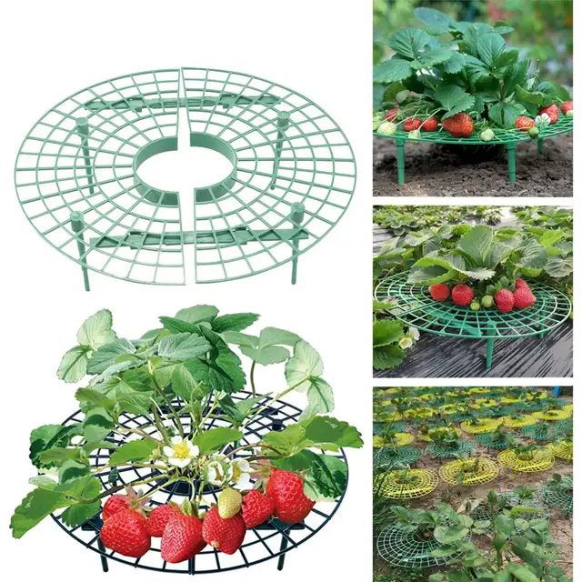 1Set Eper Növényi Állvány Műanyag Eperállvány Erkélyen Termeszt Zöldségeket Gyümölcshászló Oszlop Kertészeti Tartóállvány - Image 4