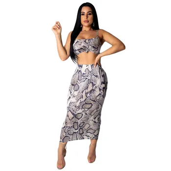

Snake Print Sexy 2 Piece Set Women Strap Crop Top and Bodycon Skirt Set Club Party Two Piece Set Dress Summer Outfits for Women