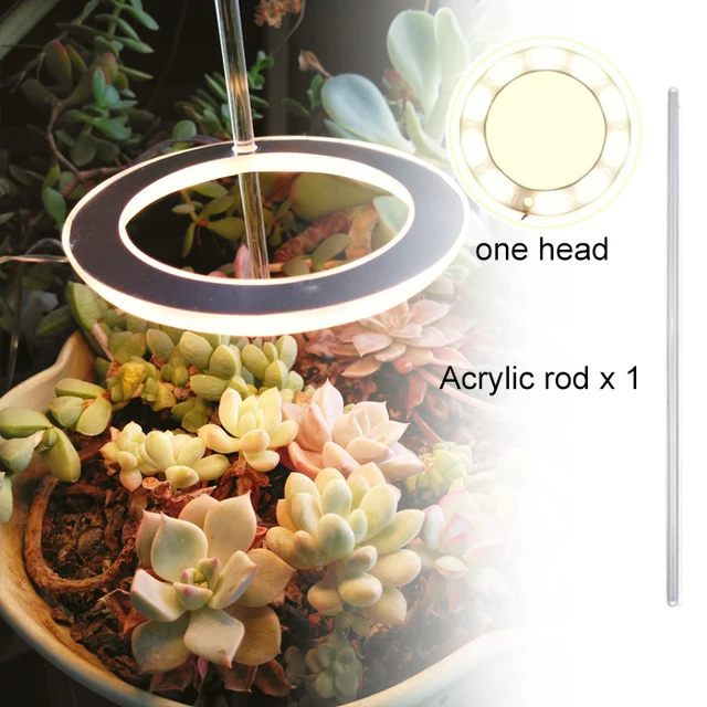 Angel Three Ring Grow Light DC5V USB Phytolamp For Plants Led Full Spectrum Lamp For Indoor Plant Seedlings Home Flower Succulet sun yellow 1 head