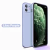 Lilac purple