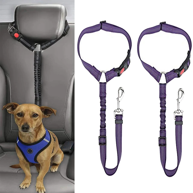 BWOGUE Pet Dog Cat Seat Belts, Car Headrest Restraint Adjustable Safety  Leads Vehicle Seatbelt Harness (1 Pack)