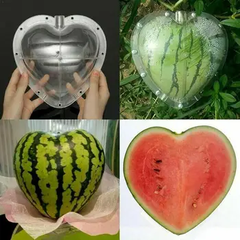 

Fruit Growing Mold Heart-shaped Square Shaped Watermelon Growth Mold Garden Forming Tray Mould Growing Plant