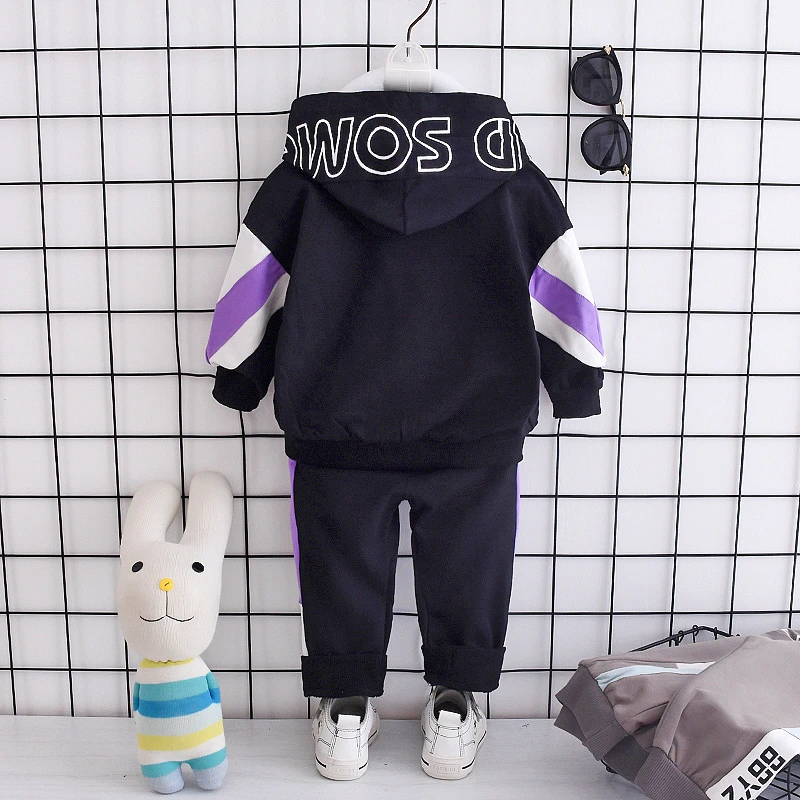 Autumn Baby Casual Tracksuit Children Boys Girls Cotton Hooded T Shirt Pants 2Pcs/Sets Kids Leisure Sport Suit Infant Clothing