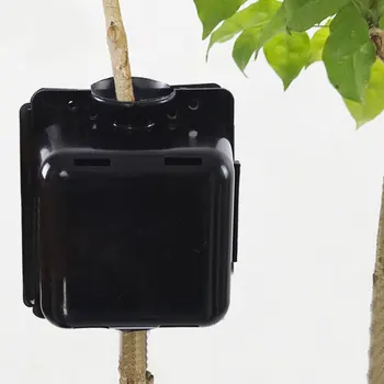 

3pcs Courtyard Grafting Plant Rooter Box High Pressure Propagation Ball Reusable indoor and outdoor plants like roses, climbers