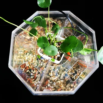 

Four-block Betta Isolation Box Fish Tank Desktop Clear Fishes Bowl with Water Pump Pumping Pipe Plant Basket Tank Decoration Box